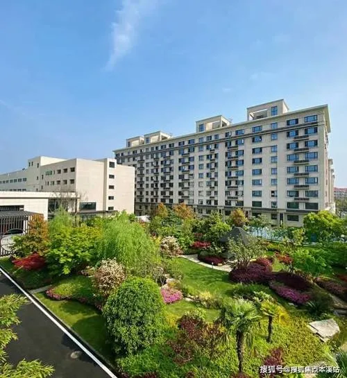 社区_11.webp